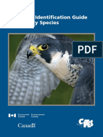 25440434-Falconry-Guide-Public-Edition-Sm.pdf