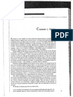 Consumo y Ahorro Sachs Larrain PDF