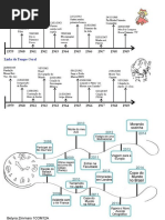 Linha Do Tempo