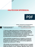 Practico Proteccion Diferencial PDF