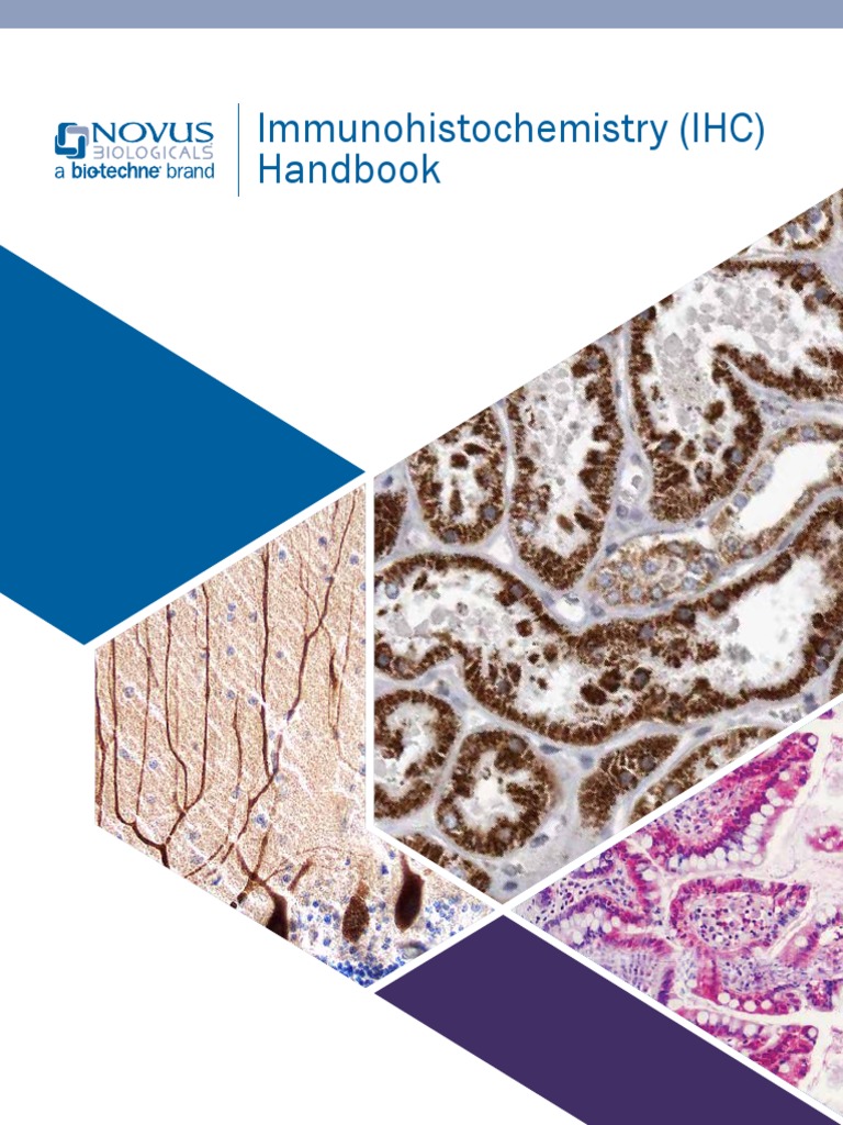 Immunohistochemistry (IHC) Handbook NovusLu2945 PDF