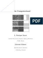 2008VisionComputacionalSucarGomez.pdf