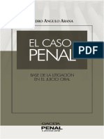 El Caso Penal Base de La Litigacion en El Juicio Oral