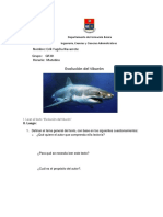 Tiburon Resumen