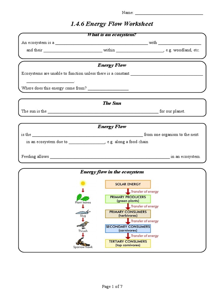 25.25.25 Energy Flow Worksheet  Food Web  Systems Biology With Regard To Food Chain Worksheet Answers