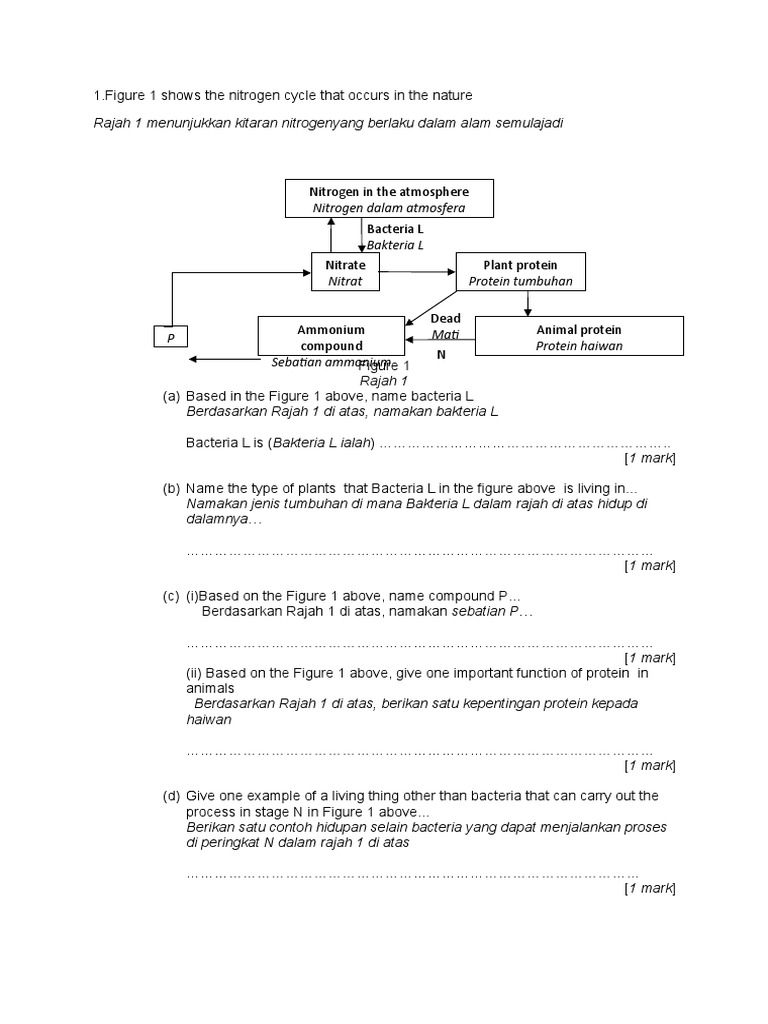 Latihan Kitar Nitrogen Pdf