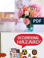 Seminar8 Occupationalhazards 170722063930 PDF