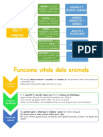 Els Animals i Les Funcions Vitals ESQUEMES