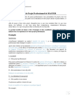 Modèle Projet Professionnel