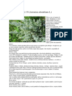 P E L I N (Artemisia Absinthium L.)
