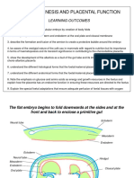 3 placenta.ppt