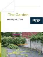 The Garden: End of June, 2008