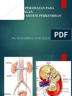 Askep Lansia DG GG Perkemihan