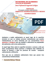 UNIDAD III - AMBIENTES SEDIMENTARIOS-18.pdf