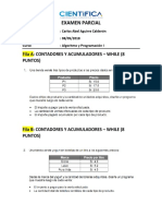 Examen Parcial(3)