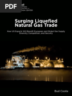 Surging Liquefied Natural Gas Trade