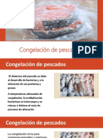 Congelación pescado