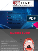 Mucosa Oral 01
