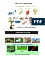 Clasificacion de Los Seres Vivos