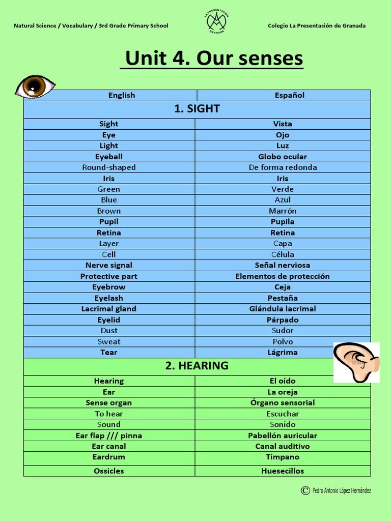 WORDS PERTAINING TO THE SENSES AND THE CORRESPONDING DISABILITIES visual data 2