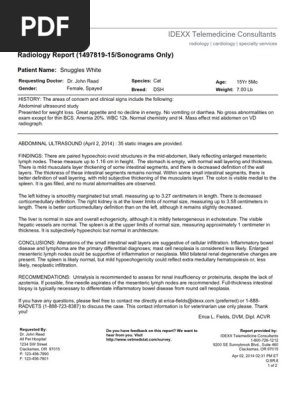 Ultrasound Report