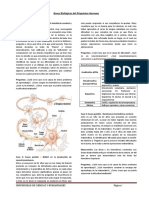 Bases Biológicas Del Psiquismo