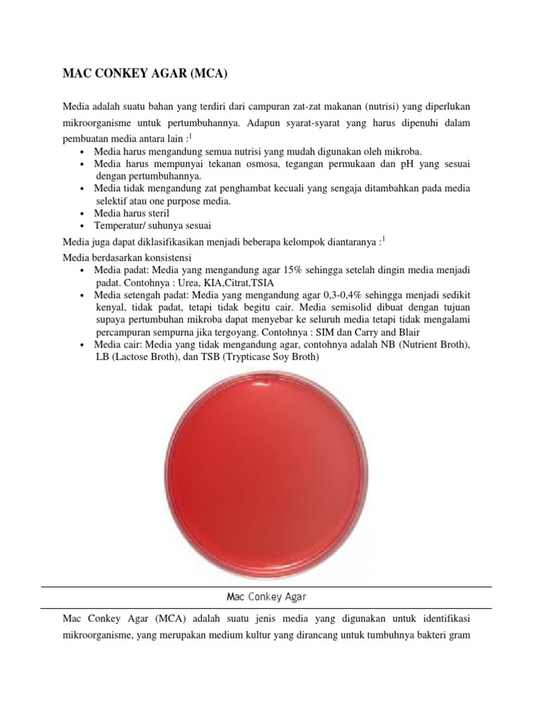 Mac Conkey Agar | PDF
