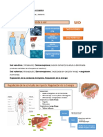 Tema 3. Apuntes.pdf