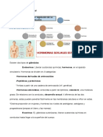 Tema 4.apuntes