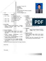 CV - Copy Pida