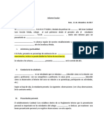 Modelo Informe 2018 PDF