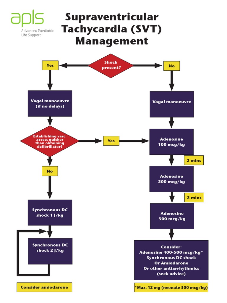 Algorithms - SVT PDF | PDF