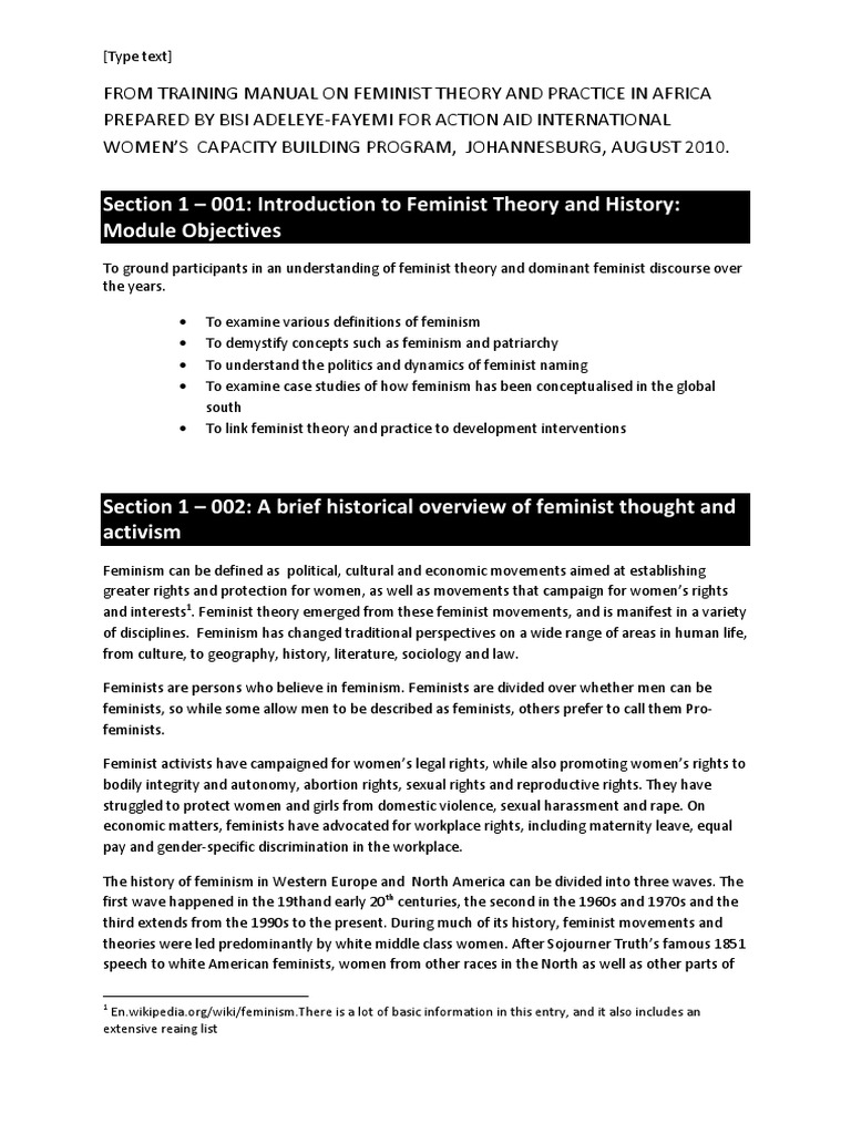 African Feminist Theory Overview | PDF | Feminism | Gender Studies