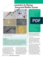 Plankton Communities In Shrimp.pdf