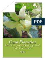 Guia Floristica Del Sitio Arqueologico Naranjo Saal Peten Guatemala