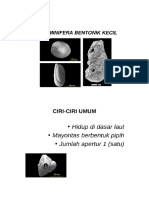 Foraminifera.docx
