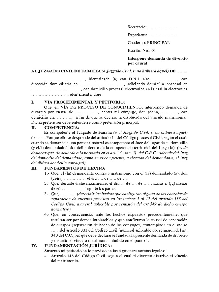 Modelo De Demanda De Divorcio Colombia
