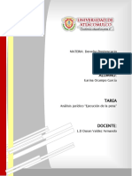 Analisis juridico.pdf