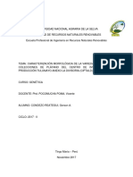 Informe finalfinal Genética.docx