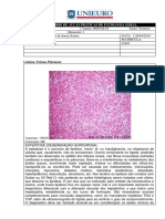 Relatório de Atividade Prática de Laboratório