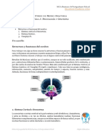 Estructura y Funciones Del Cerebro