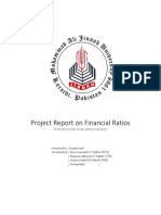 Project Report on Financial Ratios.docx
