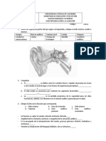 Guía Audición