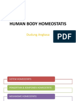 Human Body Homeostatis
