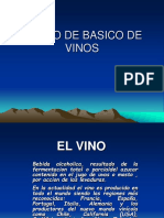 Curso Básico de Vinos