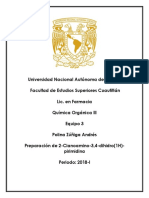 Reporte-pirimidinas-org.-lll.docx