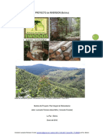 PROYECTO_de_INVERSION_(Bolivia).pdf