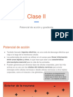 Tutoría Neurobiología Clase II