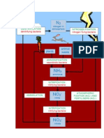 Nitrogen Cycle