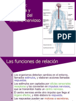 Fisiologia Sistema Nervioso